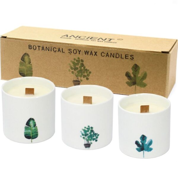 3x Lumânare Botanic, timp ardere 27 ore, 430 grame Lumânare Botanică Mare - Violet, timp ardere 27 ore, 430 grame