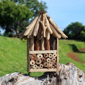 Căsuță Dublă din Lemn pentru Păsări și Insecte