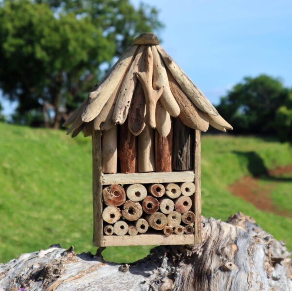 Căsuță Dublă din Lemn pentru Păsări și Insecte