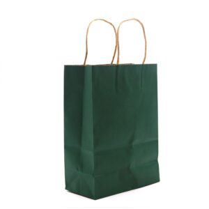Pungă de Hârtie cu Mâner (16x22x8cm) - Verde (130g)