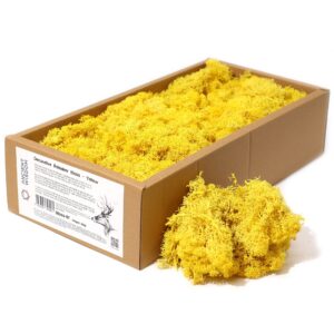 Mușchi de Ren Decorativ de Calitate - Galben - Cutie 635g