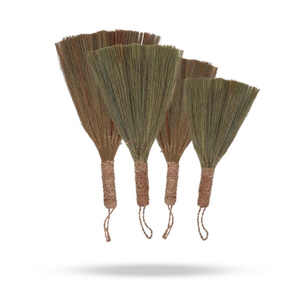 bG9jYWw6Ly9tZWRpYS85Si9FRC82MFIzMEMxRzZSVktFRDlKL2M5YTBiOWQ5LmpwZWc Set 4 buc. Pampas - Evantai - Natural Diferite Dimensiuni