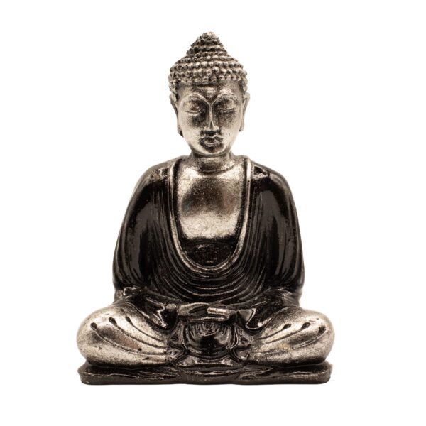 bG9jYWw6Ly9tZWRpYS85Sy8wRS82MFIzMEMxSjZHU0swRTlLL2Y0OTlhMmY5LmpwZw Buddha Negru - Gri - Mediu