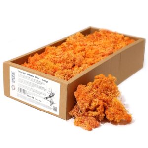 Mușchi de Ren Decorativ de Calitate - Portocaliu - Cutie 635g