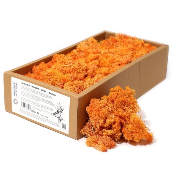 Mușchi de Ren Decorativ de Calitate - Portocaliu - Cutie 635g