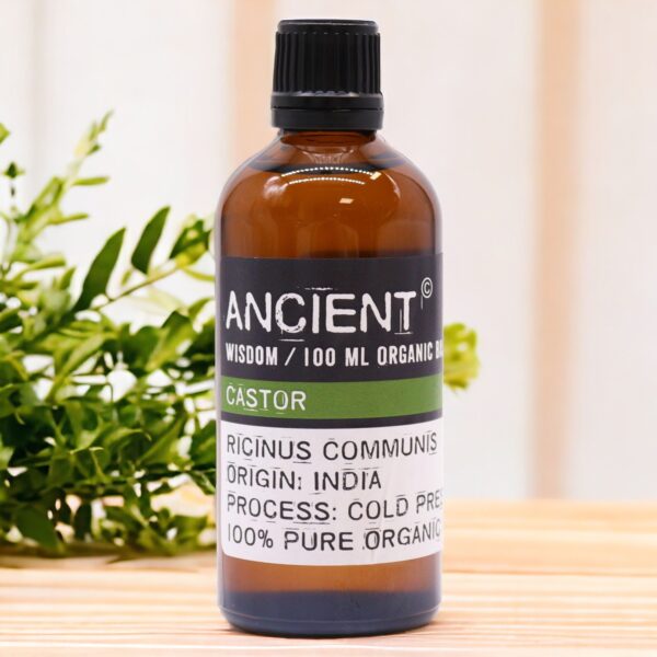 bG9jYWw6Ly9tZWRpYS85TS8wRC82MFIzMEMxRzZXUzMwRDlNLzAwMWI5ZWFkLmpwZWc Ulei de Bază Organic de Ricin - 100 ml