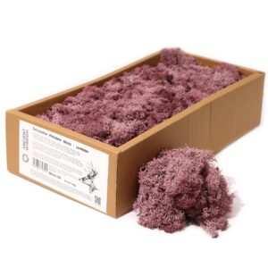Mușchi de Ren Decorativ de Calitate - Lavandă - Cutie 635g