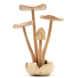 Sculptură Decorativă Handmade din Lemn Parasit – Set de 4 ciuperci mari