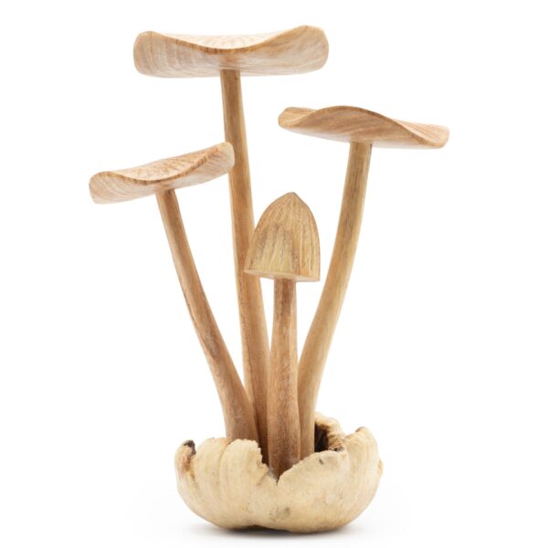 Sculptură Decorativă Handmade din Lemn Parasit – Set de 4 ciuperci mari