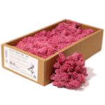 Mușchi de Ren Decorativ de Calitate - Roz - Cutie 635g
