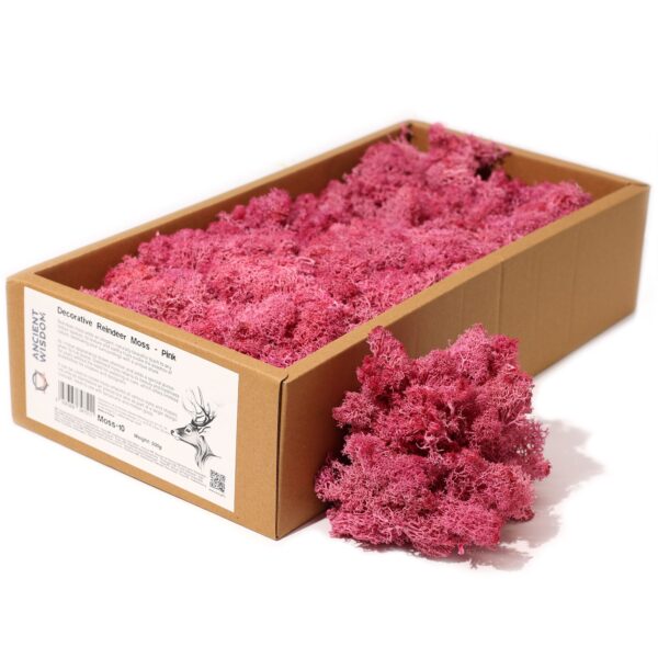 Mușchi de Ren Decorativ de Calitate - Roz - Cutie 635g