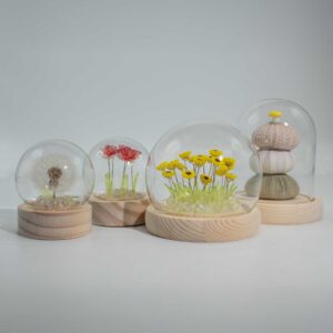 Cupolă Luminoasă Florală – 10 Trandafiri Roz – LED USB