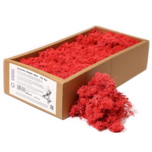 Mușchi de Ren Decorativ de Calitate - Roșu Intens - Cutie 635g