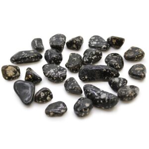 Pietre Africane Mici - Păsări de Guineea