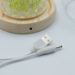 Cupolă Luminoasă Florală – 20 Lalele – LED USB