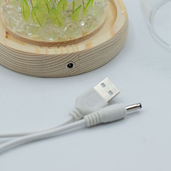 Cupolă Luminoasă Florală – 20 Lalele – LED USB