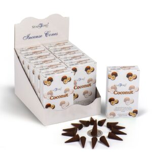 Cutie cu 12 Conuri - Cocos