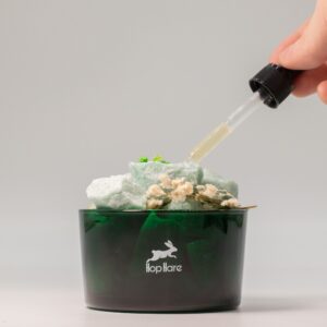 Cristale Difuzante Hop Hare și Set Floral - Magicianul