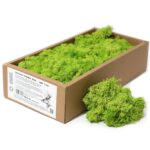 Mușchi de Ren Decorativ de Calitate - Verde Deschis  -  Cutie 635g