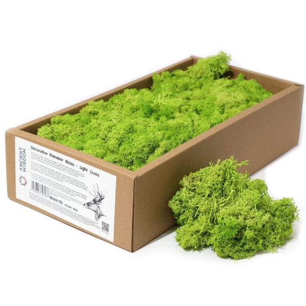 Mușchi de Ren Decorativ de Calitate - Verde Deschis - Cutie 635g