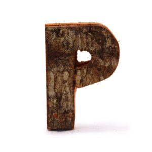 Literă din Scoarță Rustică - "P"  - 7cm