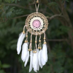 Dream Catcher (Prinzător de Vise) -  Roz 12cm (diferite tipuri)