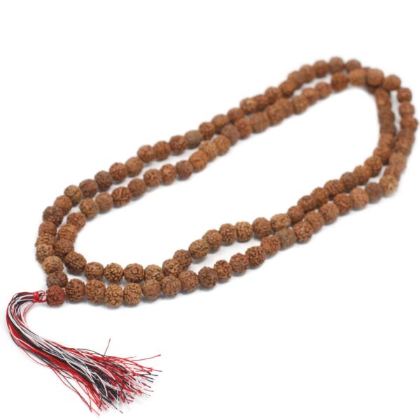 bG9jYWw6Ly9tZWRpYS9ISi8wRC82MFIzMEMxRzZNVzMwREhKLzlmZjg5ODkxLmpwZWc Brățară 108 Rudraksha Mala - Natural