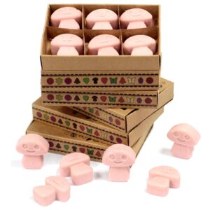 Pachet de 6 bucăți de Ceară Parfumată - Cafea