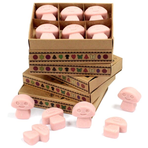Pachet de 6 bucăți de Ceară Parfumată - Cafea