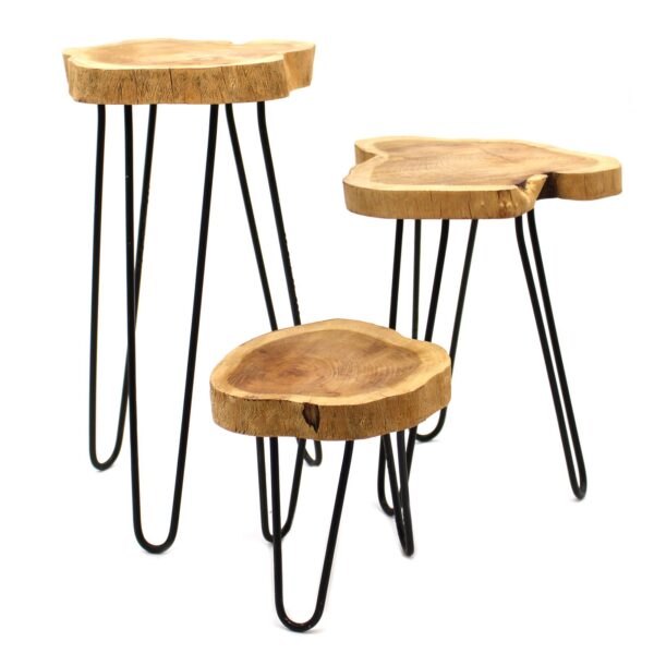Set de 3 Suporturi pentru Plante din Lemn Gamell - Naturale