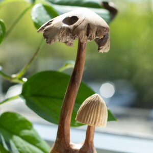 Sculptură Decorativă Handmade din Lemn Parasit – Set de două ciuperci
