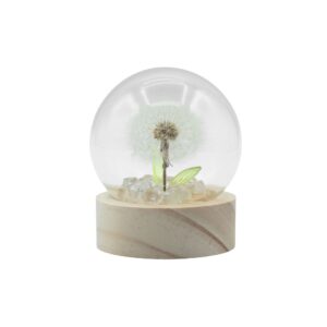 Cupolă Luminoasă Florală – 1 Păpădie – LED Baterie