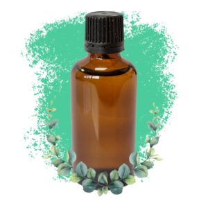 Eucalipt 50ml - Fără Etichetă