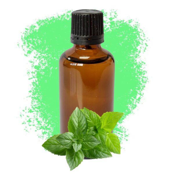 Mentă 50ml - Fără Etichetă