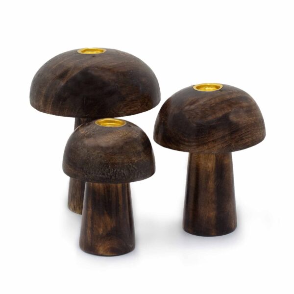 Set de 3 Ciuperci pentru Conuri de Tămâie (10 cm, 9 cm, 8 cm)