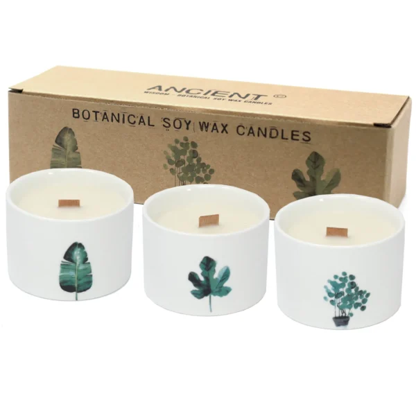 3x Lumânare Botanic, timp ardere 27 ore, 430 grame Lumânare Botanică Medie - Dud, timp ardere 27 ore, 430 grame