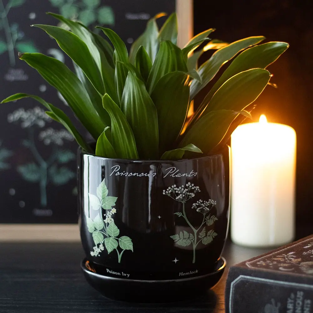Ghiveci de flori cu imprimeu cu plante otrăvitoare