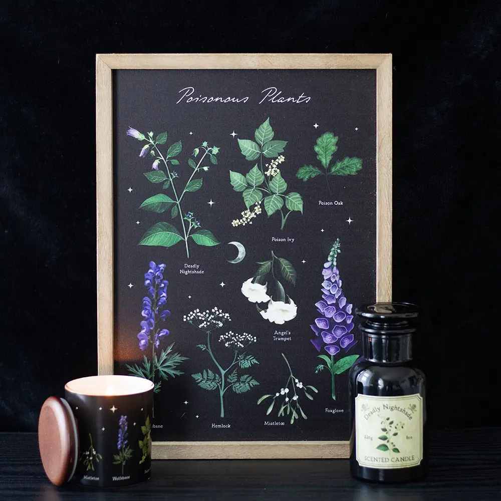 Tablou decorativ înrămat cu plante otrăvitoare
