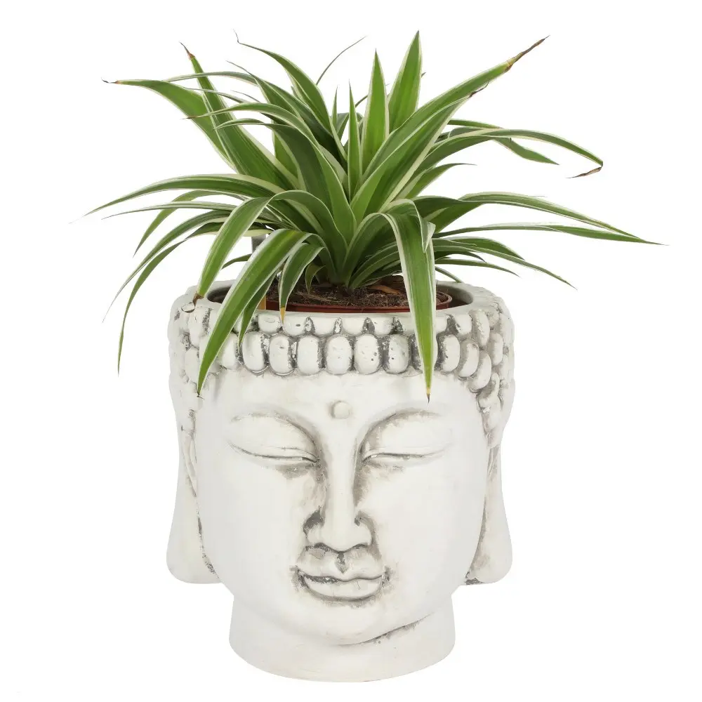 ZD_20827 Ghiveci de flori design cap de Buddha din teracotă albă, 20 cm
