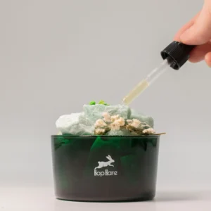 Cristale difuzante Hop Hare Magicianul cu aventurin verde