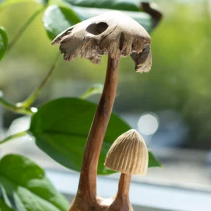 Sculptură Decorativă Handmade din Lemn Parasit – Set de două ciuperci