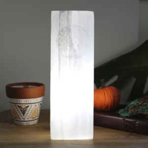 Lampă din Selenit 25cm - Arborele Vieții
