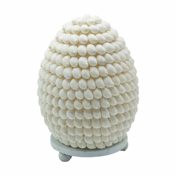 Lampă Boho din Scoică - Scoică Buting Ovală - 15 cm