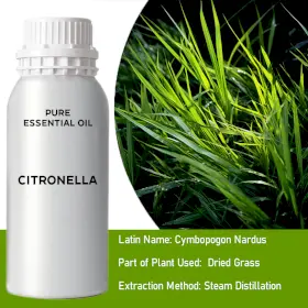 246901.jpeg Ulei Esențial Citronella 0.5Kg