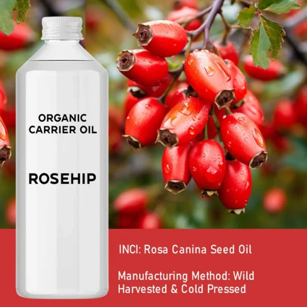 Ulei Organic de Măceșe 1 Litru