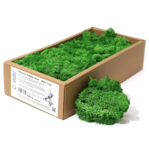 Mușchi de Ren Decorativ de Calitate - Mușchi Verde -  Cutie 635g